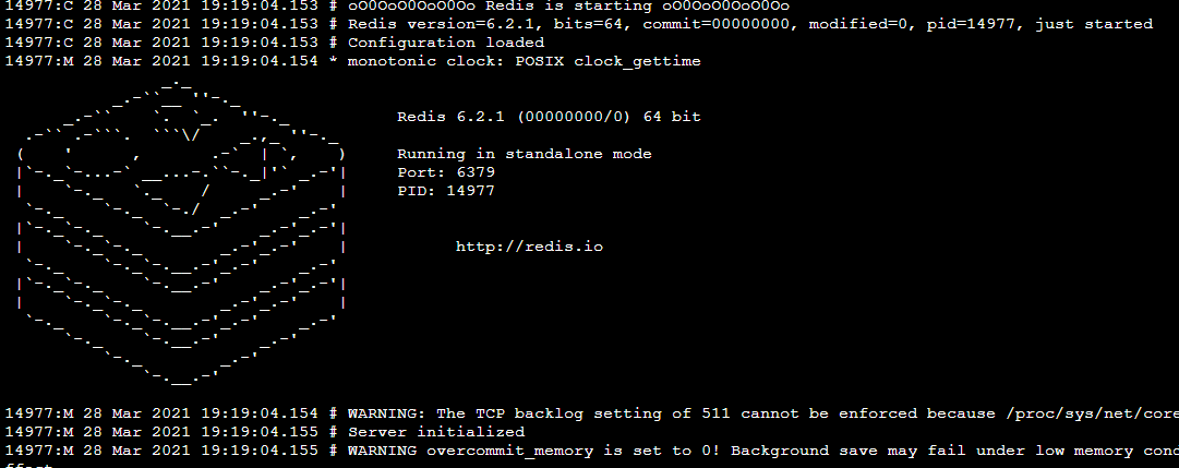 启动redis